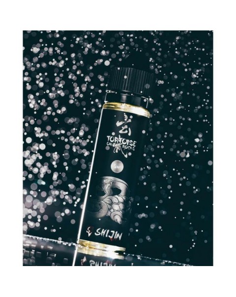 Tortoise On The Rocks by Shijin Vapor