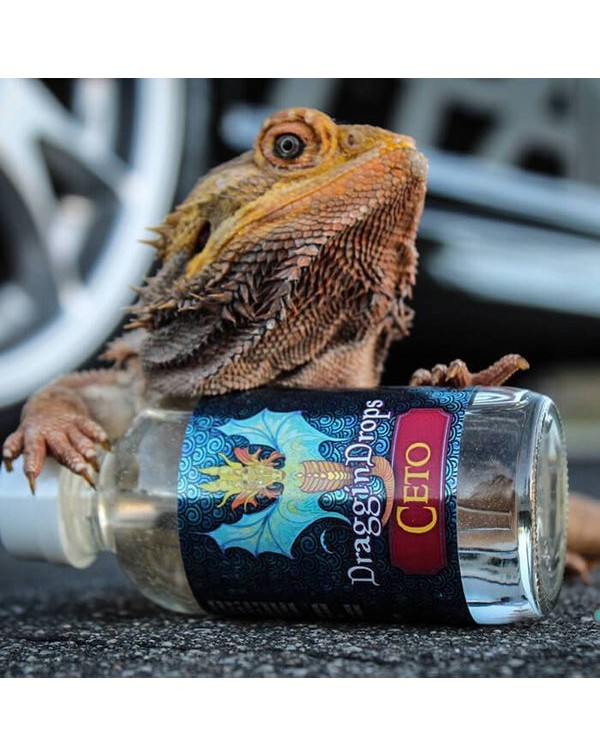 Ceto (Keto) by Draggin Drops eJuice