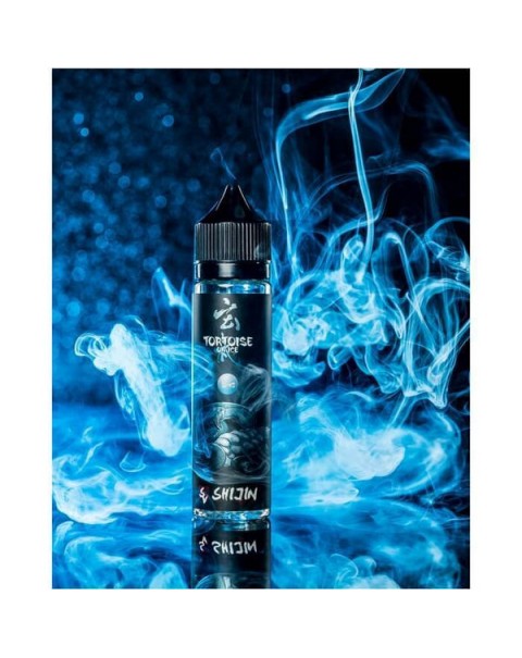 Tortoise On Ice by Shijin Vapor