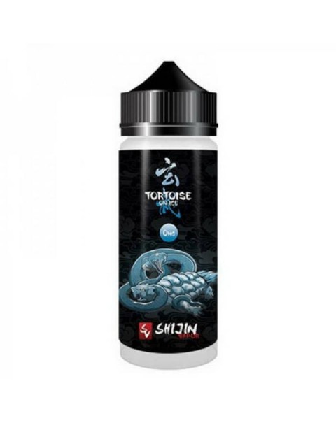Tortoise On Ice by Shijin Vapor